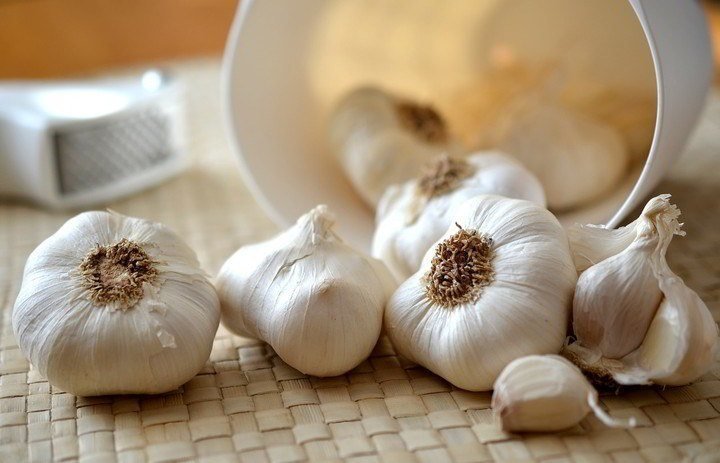 garlic bodybuilding