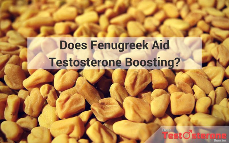 Fenugreek Aid Testosterone Boosting