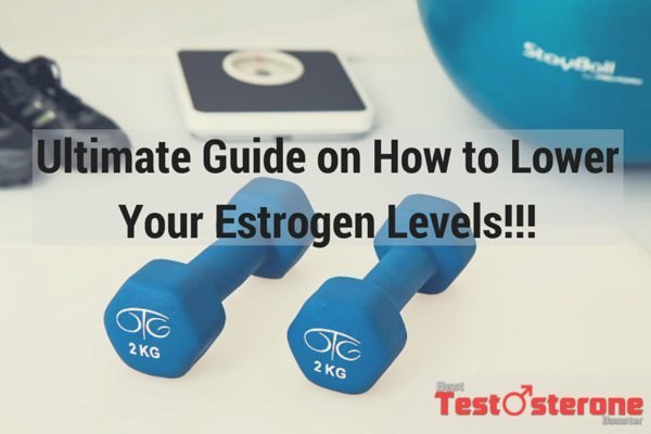 training lowers estrogen