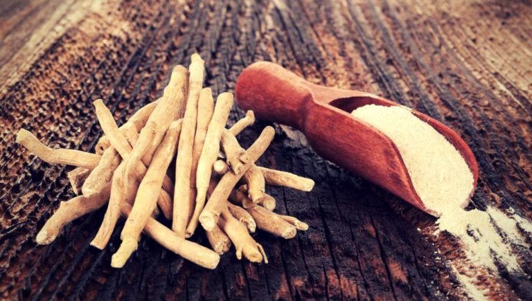 ashwagandha is a potent prolactin inhibitor