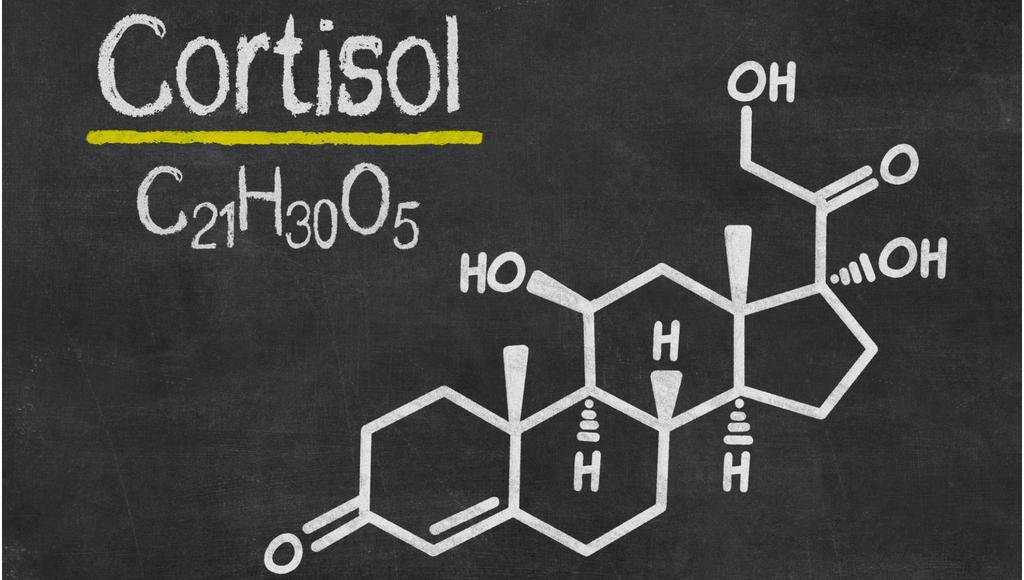 Cortisol Lowering Herbs and Supplements