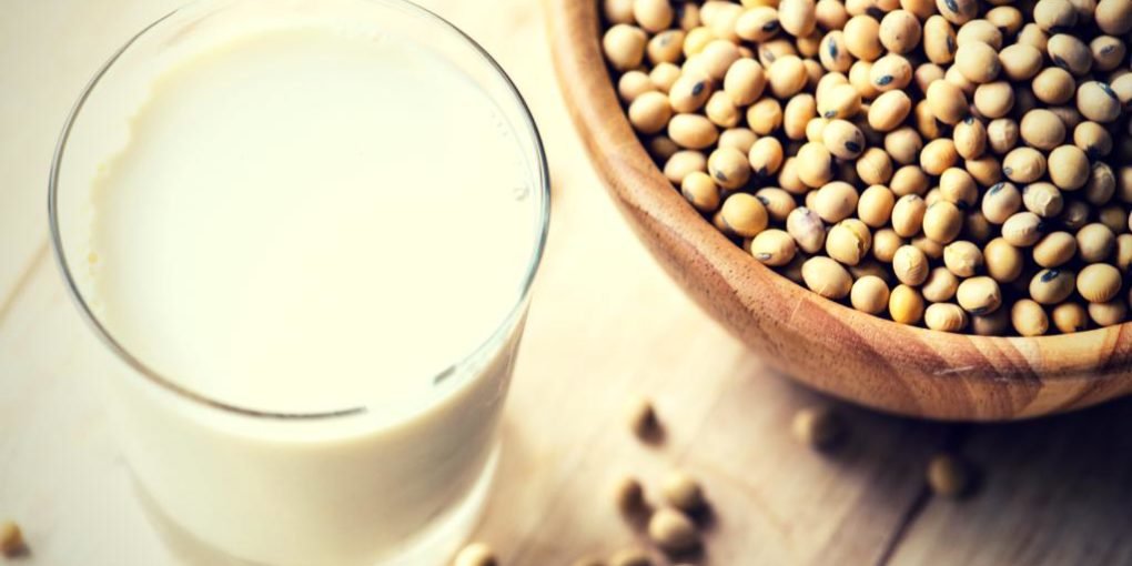soy milk and soyabean