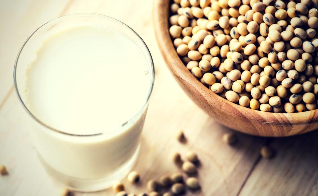 soy milk and soyabean