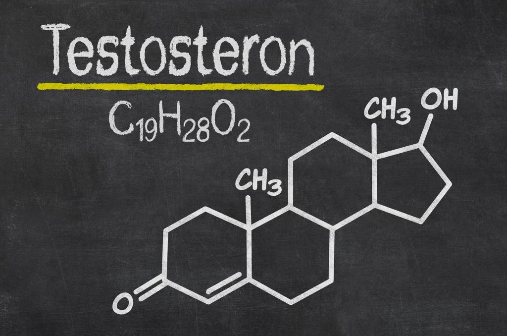 Intermittent Fasting And Its Effects On Testosterone Levels